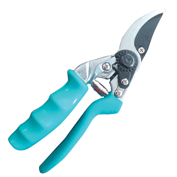 421 S Ножици за кроење на лозје